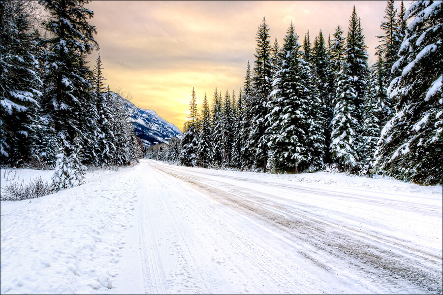 "Frozen Road"