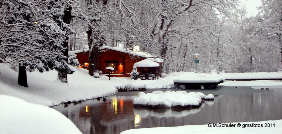 "Winter evening by the pond"