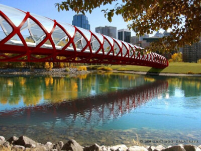 Bridges and Buildings by 西班牙 建築師 聖地牙哥‧卡洛特拉瓦 Santiago Calatrava