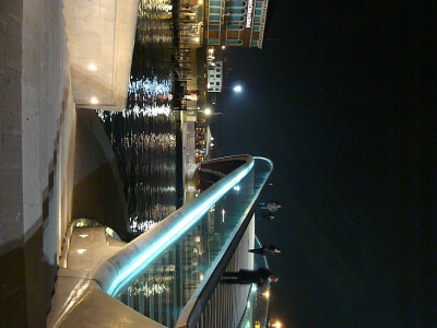 Bridges and Buildings by 西班牙 建築師 聖地牙哥‧卡洛特拉瓦 Santiago Calatrava , Bridge in Venice