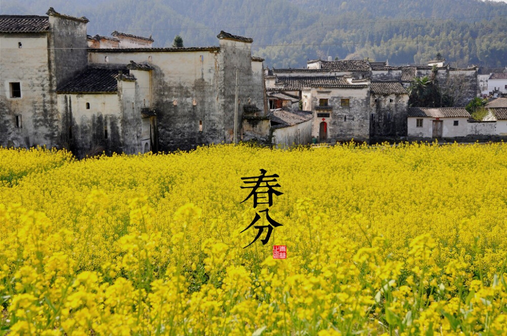 《二十四时节》中国版-春分，陵骨分享，喜欢请粉下。