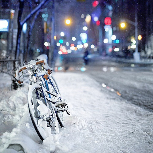 用七昼的雪镂空时光却终究无法写意林花谢红的景致，也无法泼墨花影扶疏的昨日。