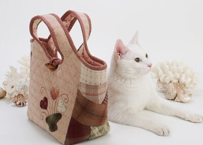 包和猫，你更爱哪个？