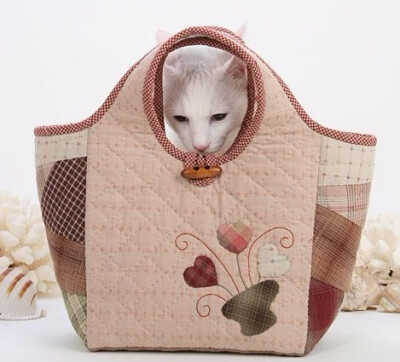 包和猫，你更爱哪个？