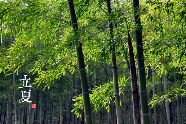 7. 顾名思义，立夏是指夏季开始。