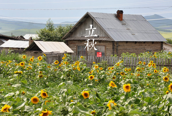 13.“立秋之日凉风至”明确地把立秋与天凉联系起来。可见，立秋就是凉爽的秋季开始了。