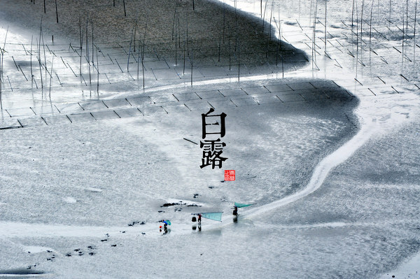 15.露是由于温度降低，水汽在地面或近地物体上凝结而成的水珠。所以，白露实际上是表征天气已经转凉。