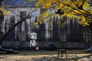 18.　霜降节气含有天气渐冷、开始降霜的意思。