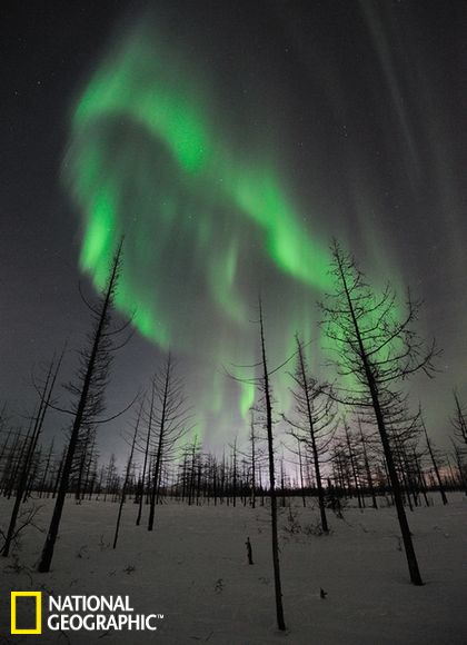 1月22日，俄罗斯诺里尔斯克（Norilsk）上空的极光。尽管极光一般发生于高纬度地区，但是当发生强烈地磁暴时，在较低的纬度也会出现极光现象。比如说在历史上有记录以来最强烈的太阳风暴时期，即1859年的卡林顿事件发生时，甚至远在古巴和夏威夷的居民都报告观测到极光。而南极光也抵达了智利圣地亚哥地区。