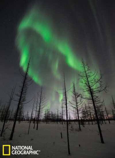 1月22日，俄罗斯诺里尔斯克（Norilsk）上空的极光。尽管极光一般发生于高纬度地区，但是当发生强烈地磁暴时，在较低的纬度也会出现极光现象。比如说在历史上有记录以来最强烈的太阳风暴时期，即1859年的卡林顿事件发…