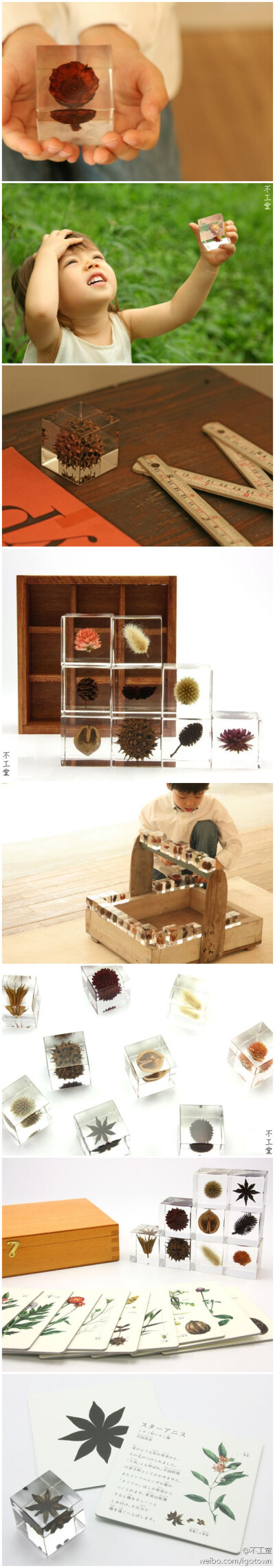 日本设计师吉村紘一的创意品牌Sola出品的这些亚克力立方体将各种各样的种子凝结其中。