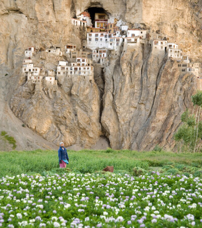 Phuktal Monastery