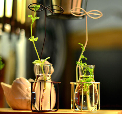 ZAKKA出口日单铁艺玻璃瓶小花器 水培植物花瓶 铁艺玻璃小花瓶