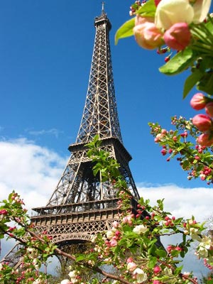 埃菲尔铁塔（法语：La Tour Eiffel）