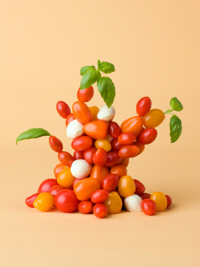 Tomato-tree