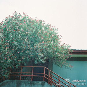 很美的风景，让人心灵安静