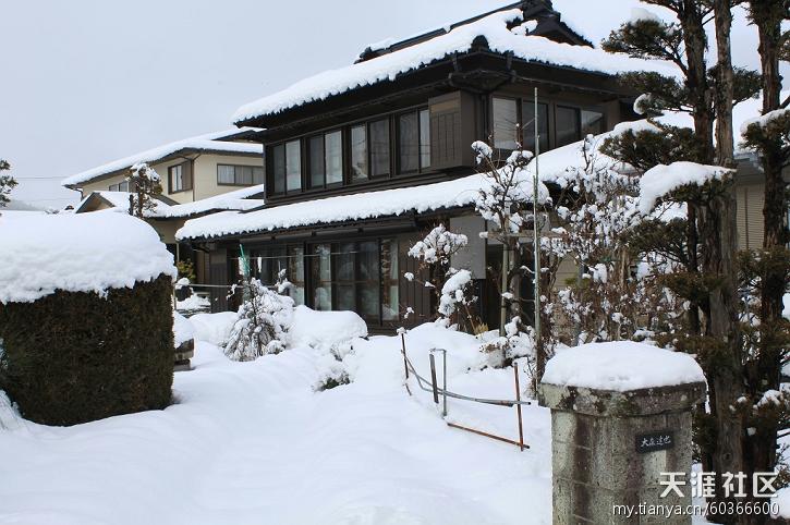 日本富士山雪景