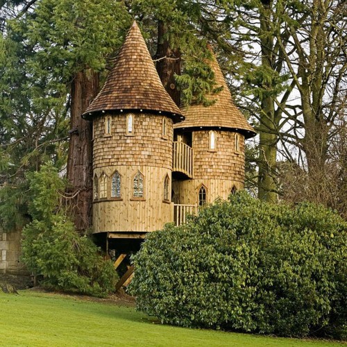 城堡的树屋