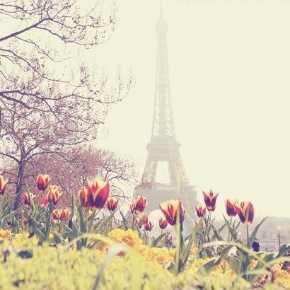 我的鐵塔夢~~埃菲尔铁塔（法语：La Tour Eiffel）~~~~