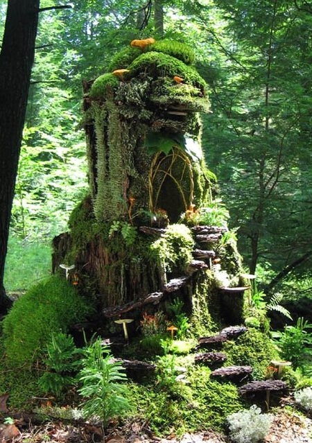 树屋，童话的世界