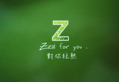 Z-对你狂热