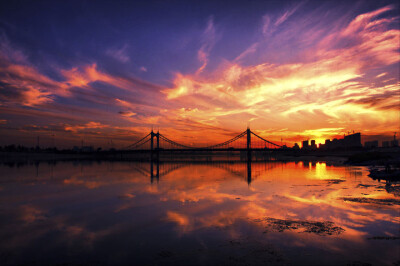 就是觉得太美了~the music and the sky~那么灿烂却又饱含迟暮的安静 哀婉。那种似乎是燃尽生命的光芒。不怪乎让人艳羡却又有只是近黄昏的感叹。诉说深情寄托思念~