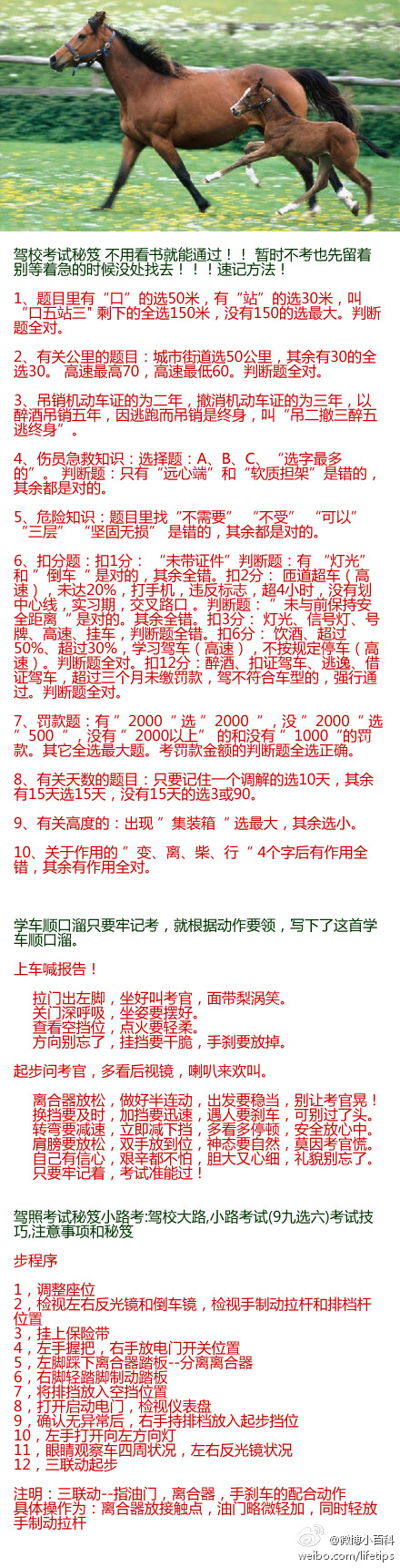 驾校考试秘笈,不用看书就能通过！！