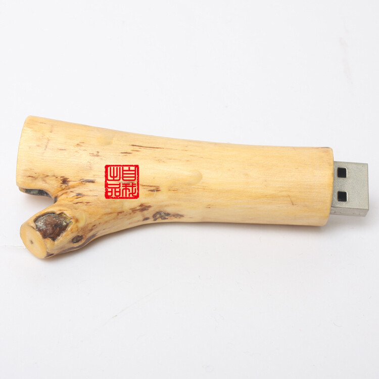 树枝u盘
