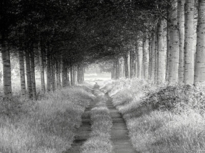 荷兰摄影师LarsVanDeGoor作品