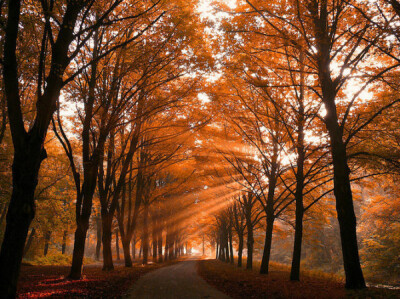 荷兰摄影师LarsVanDeGoor作品