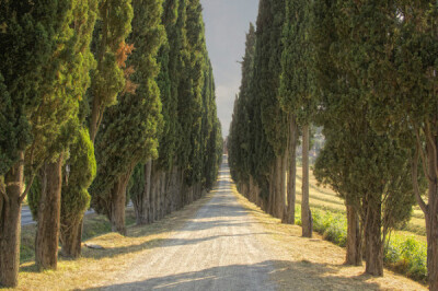 荷兰摄影师LarsVanDeGoor作品