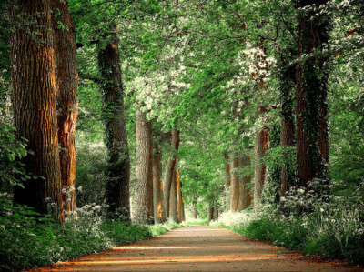 荷兰摄影师LarsVanDeGoor作品