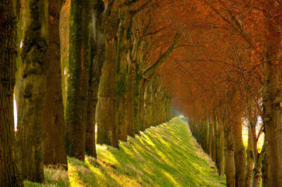 荷兰摄影师LarsVanDeGoor作品