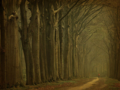 荷兰摄影师LarsVanDeGoor作品