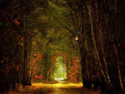 荷兰摄影师LarsVanDeGoor作品