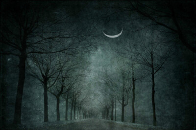 荷兰摄影师LarsVanDeGoor作品