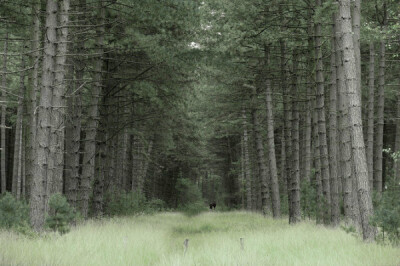 荷兰摄影师LarsVanDeGoor作品