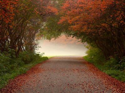 荷兰摄影师LarsVanDeGoor作品