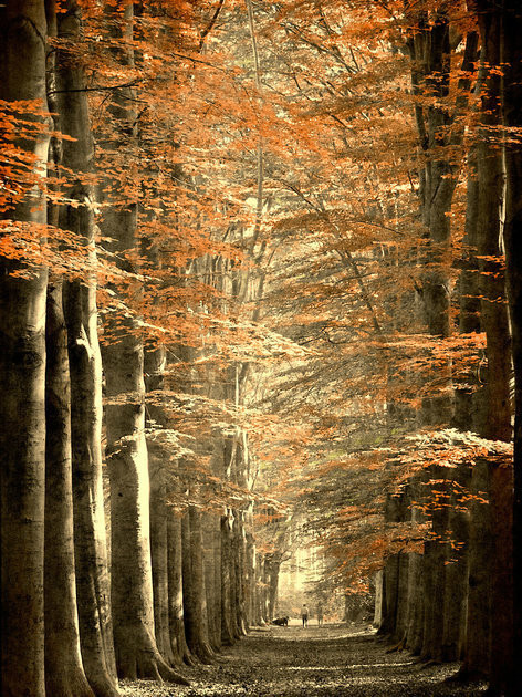 荷兰摄影师LarsVanDeGoor作品