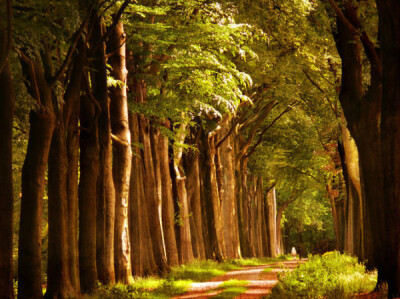 荷兰摄影师LarsVanDeGoor作品