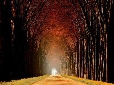 荷兰摄影师LarsVanDeGoor作品