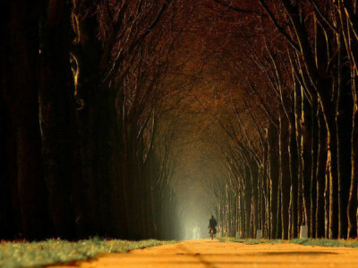 荷兰摄影师LarsVanDeGoor作品