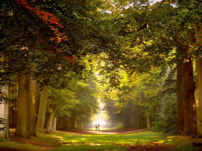 荷兰摄影师LarsVanDeGoor作品