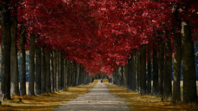 荷兰摄影师LarsVanDeGoor作品