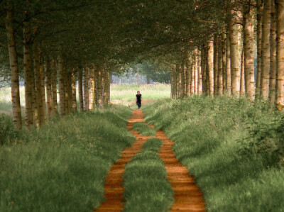 荷兰摄影师LarsVanDeGoor作品