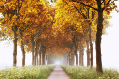 荷兰摄影师LarsVanDeGoor作品