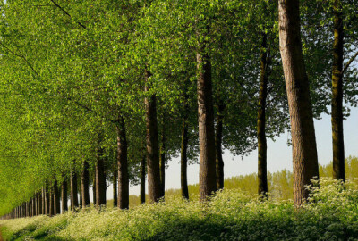 荷兰摄影师LarsVanDeGoor作品