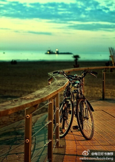 我有一颗流浪的心,总有一天想骑一把单车去放浪天涯。