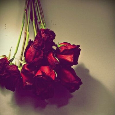 情人節-送給最愛的那個TA吧