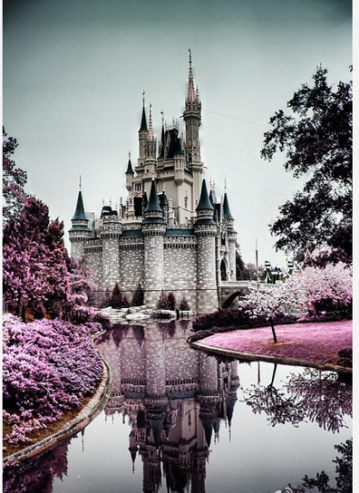 樱花树下的迪士尼
